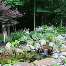 Pond Cleaning in Rochester, New York