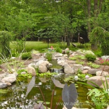 Ponds Repairs Services in Rochester, New York