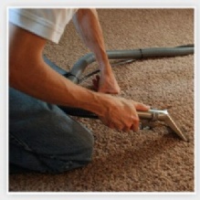 Residential Carpet Cleaning in Auburn, Washington