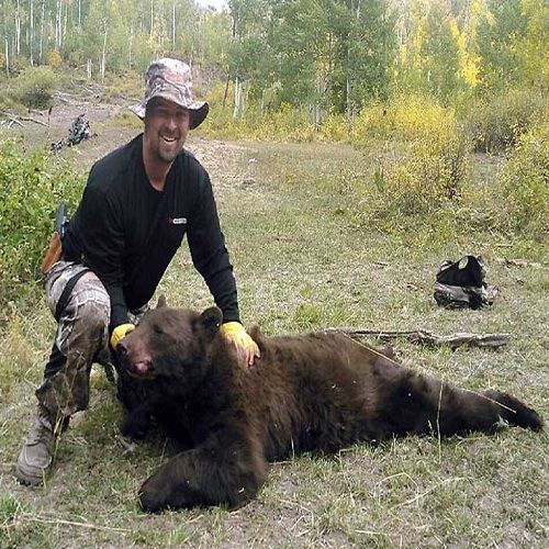 Elk Hunting Outfitter in Delta, Colorado