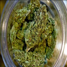 Medical Marijuana Concentrate in San Diego, California