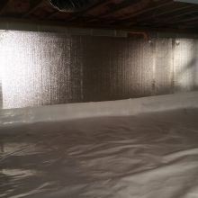 Mold Remediation in Centreville, Maryland