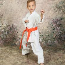 Karate in La Habra, California