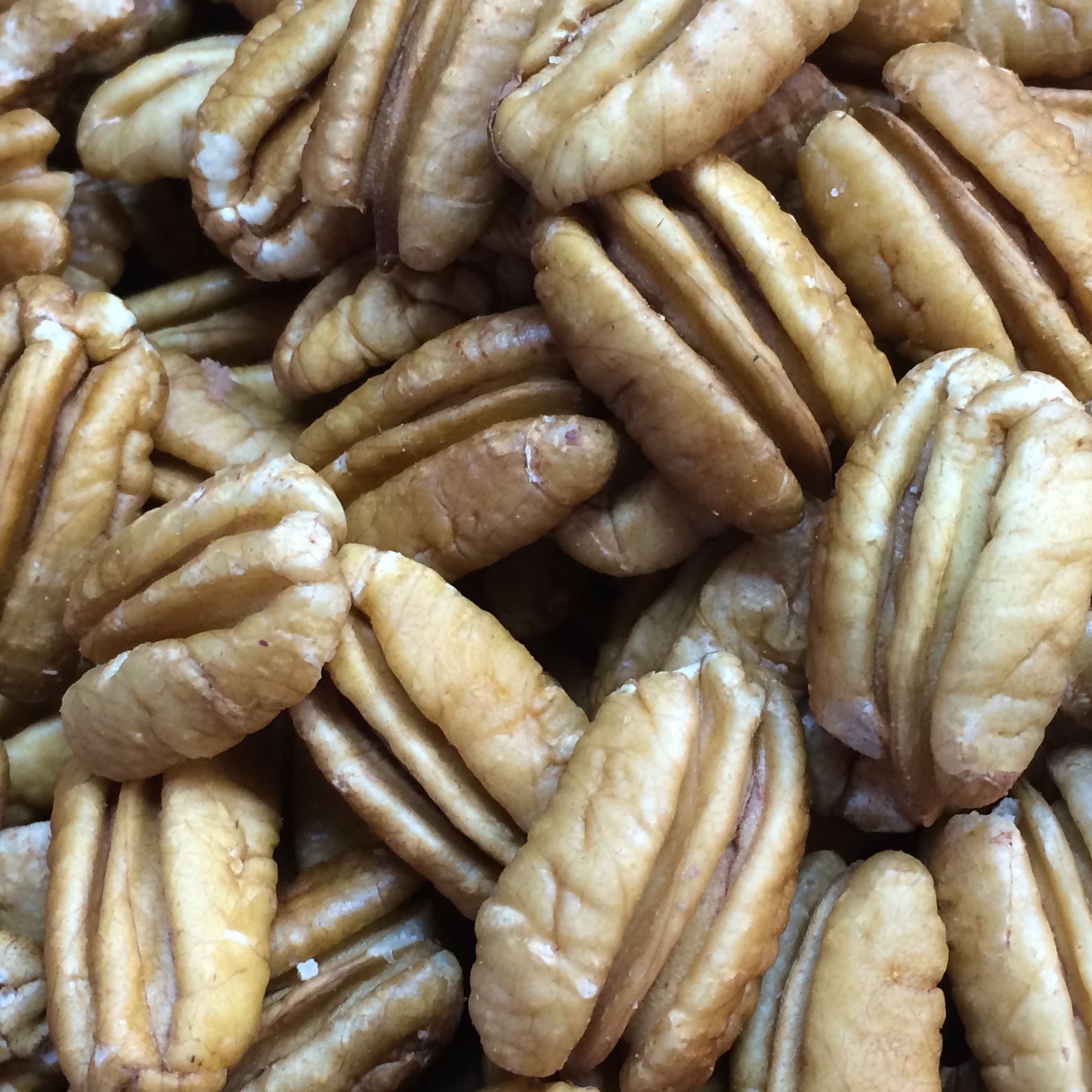 Pecan Candy Mix in Cloutierville, Louisiana