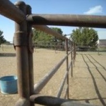 Fencing Gates in Albuquerque, New Mexico