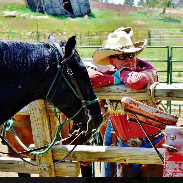 Horse Training in Mancos, Colorado