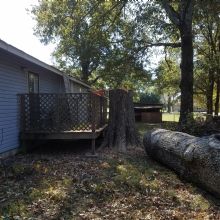 Tree Removal in Lexa, Arkansas