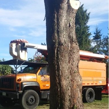 Full Tree Service in Charlestown, Rhode Island