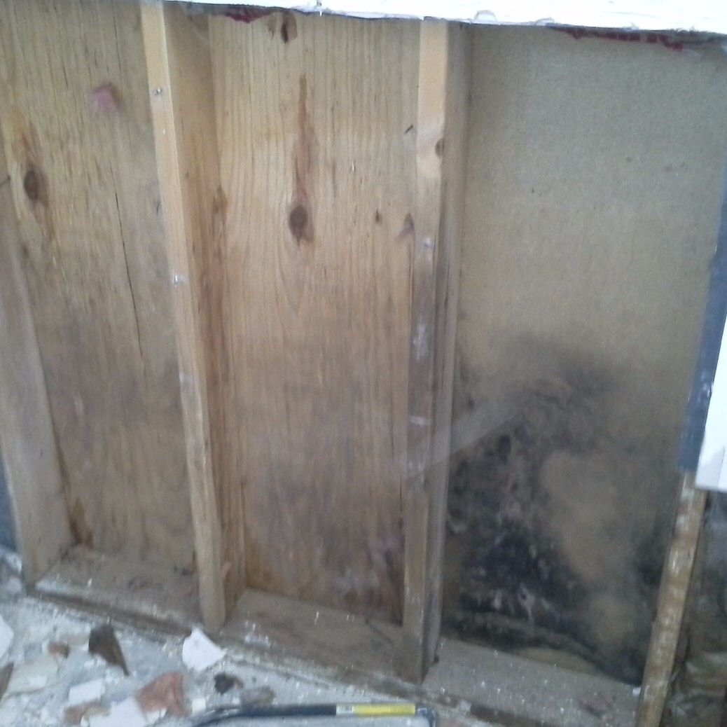 Mold Testing in Riverside, New Jersey