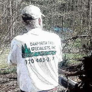 Tree Removal in Palmetto, Georgia