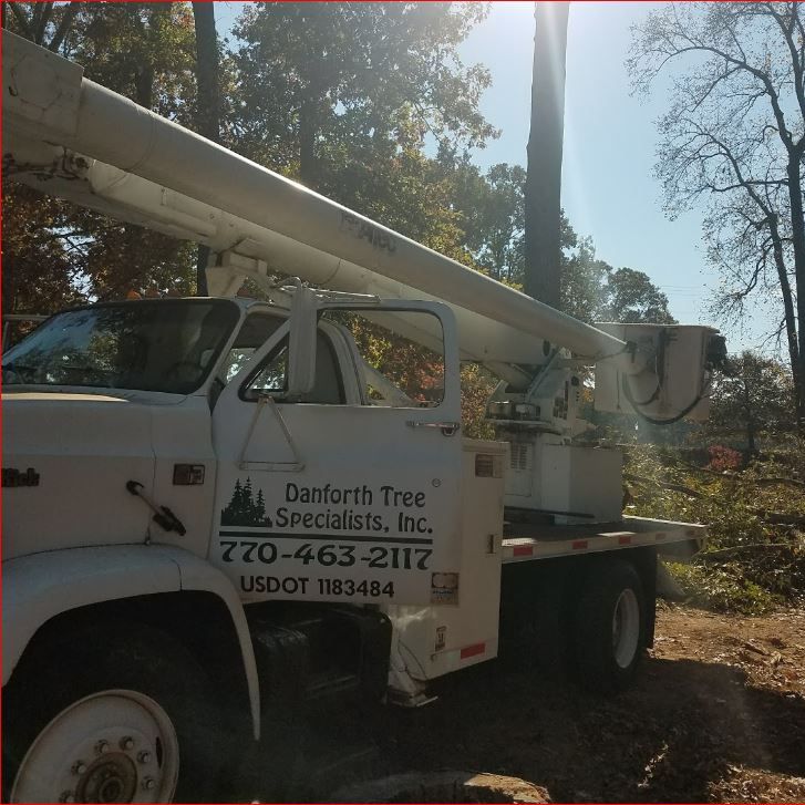 Gutter Cleaning in Palmetto, Georgia