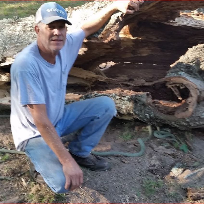 Commercial Tree Removal in Palmetto, Georgia