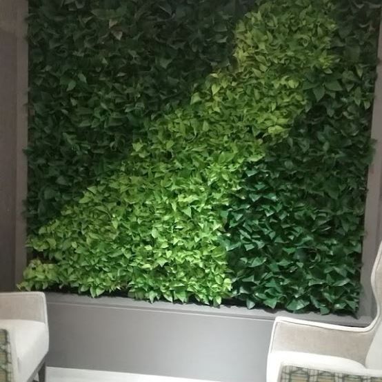 Interior Plantscaper in Decatur, Illinois