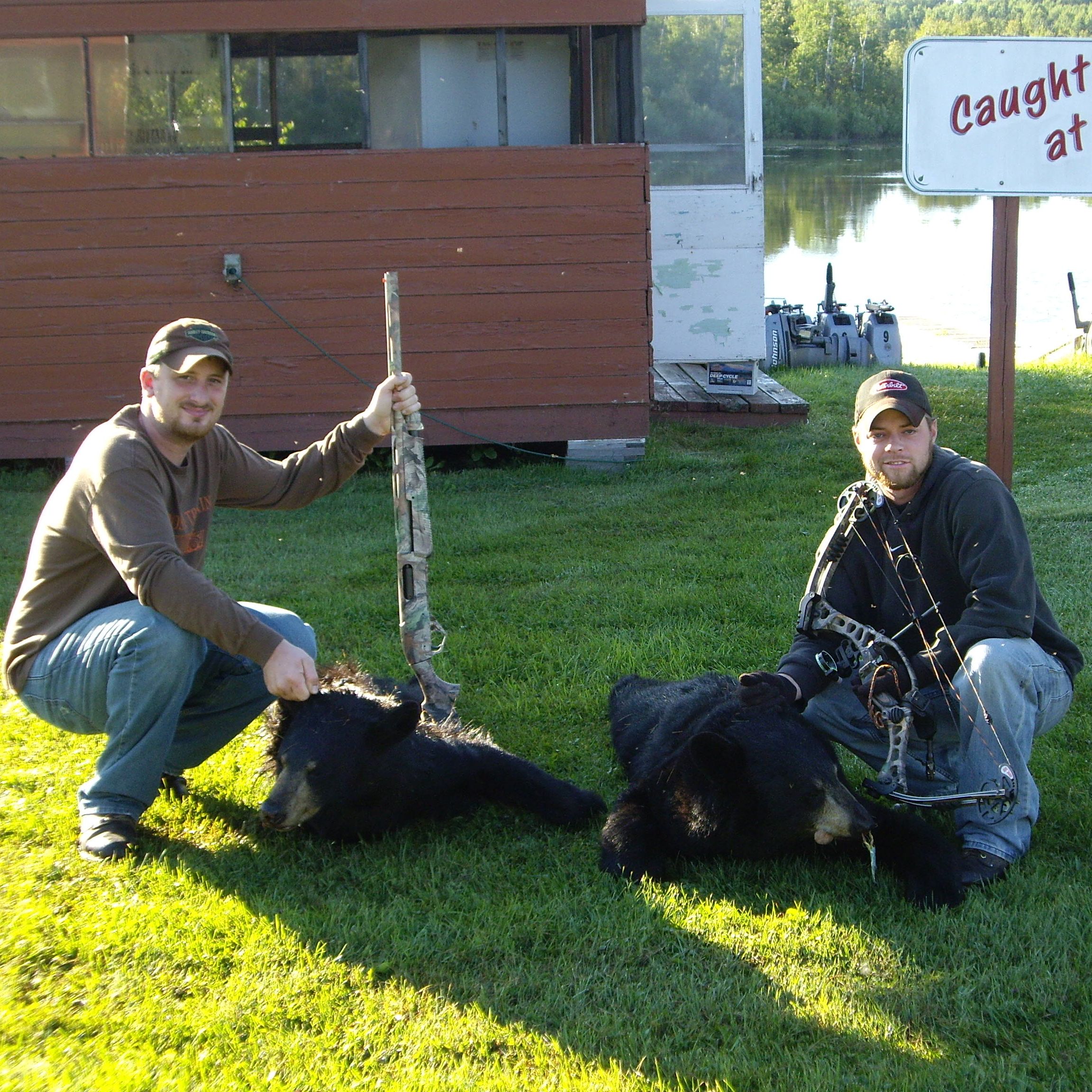 Bear Hunts in Trout River, Ontario
