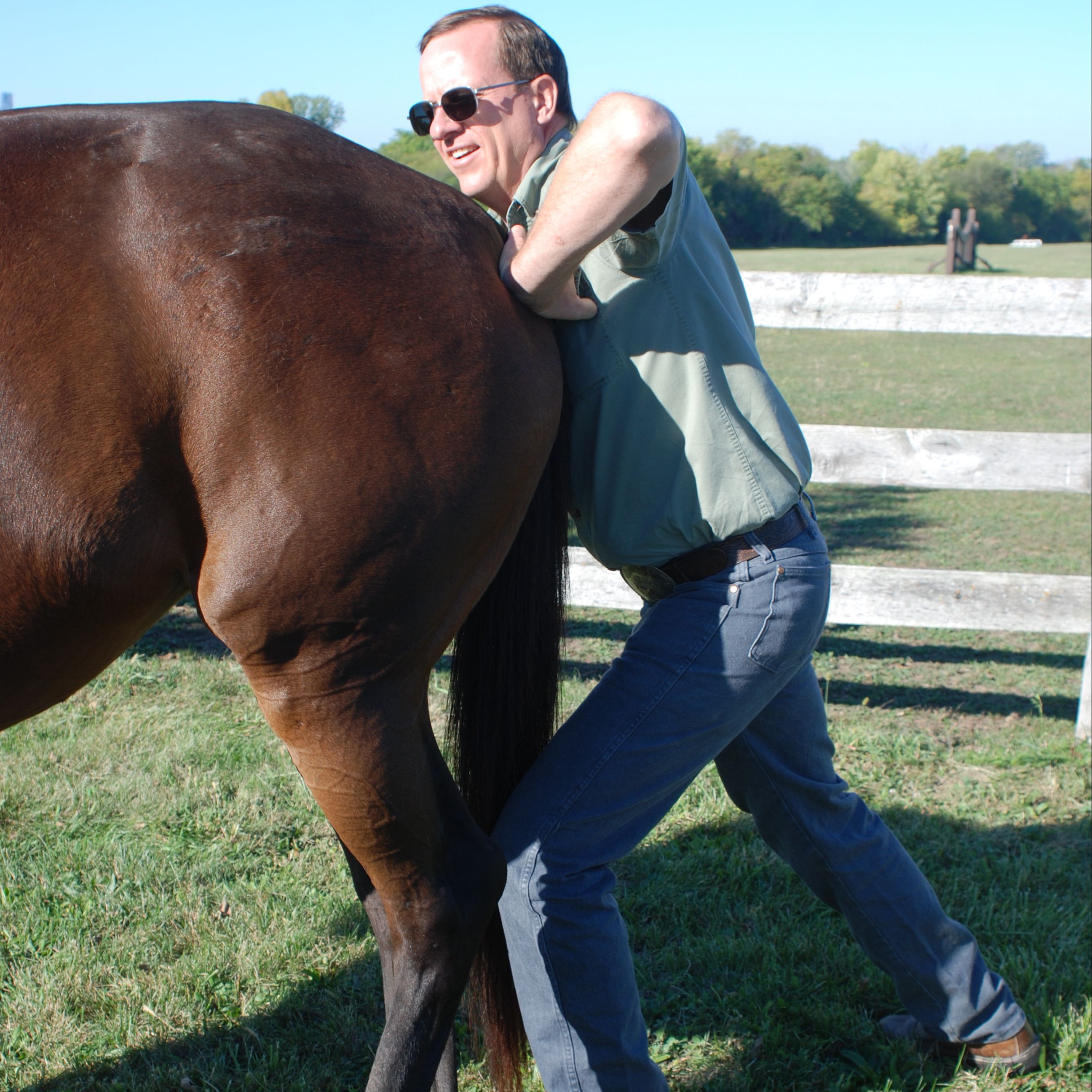 Horse Riding Behavior Problems in Raymore, Missouri