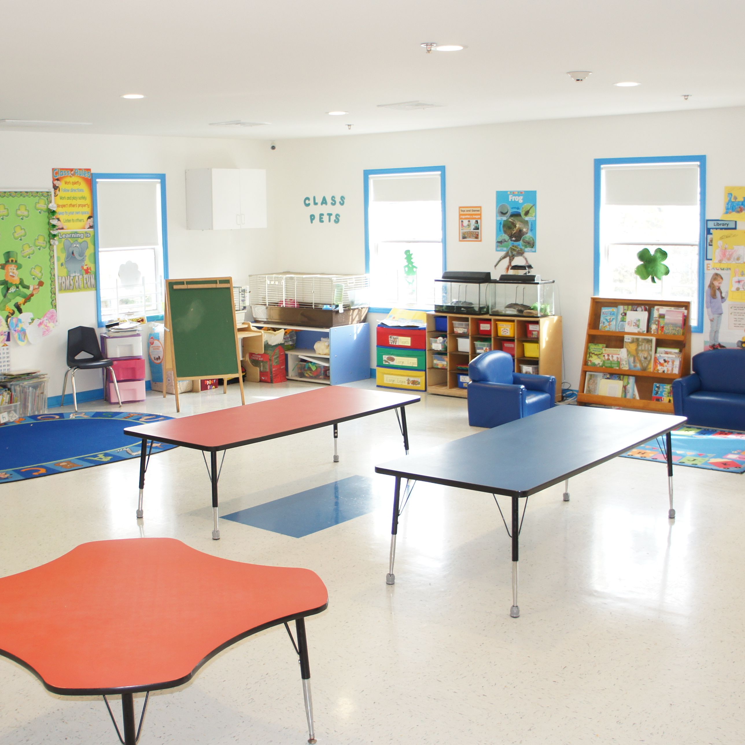 Kindergarten in Westfield, New Jersey