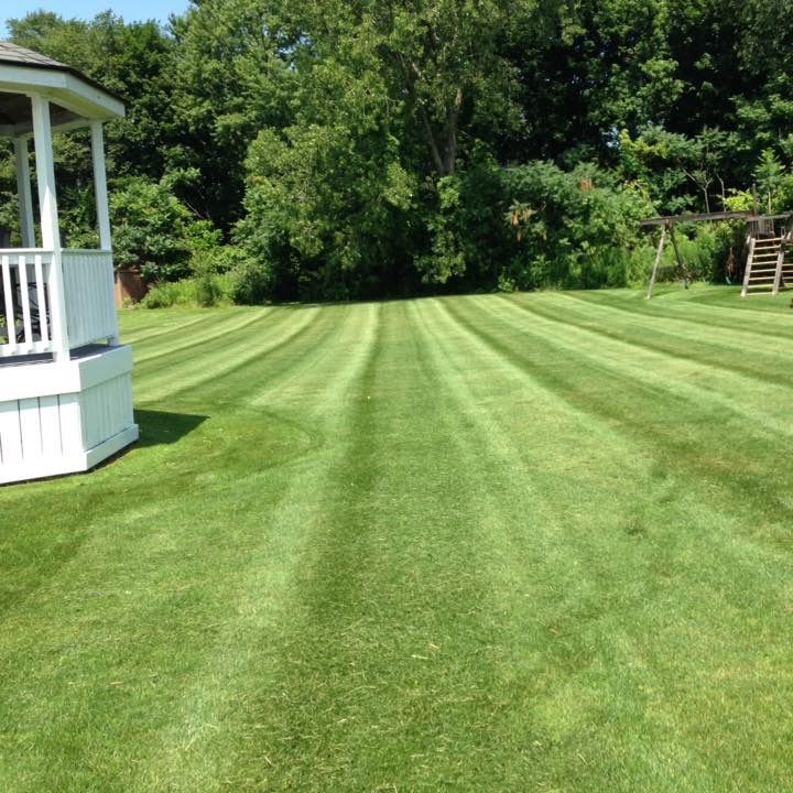 Lawn Services in Webster, New York