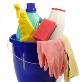 Professional Cleaning in Bowmansville, New York