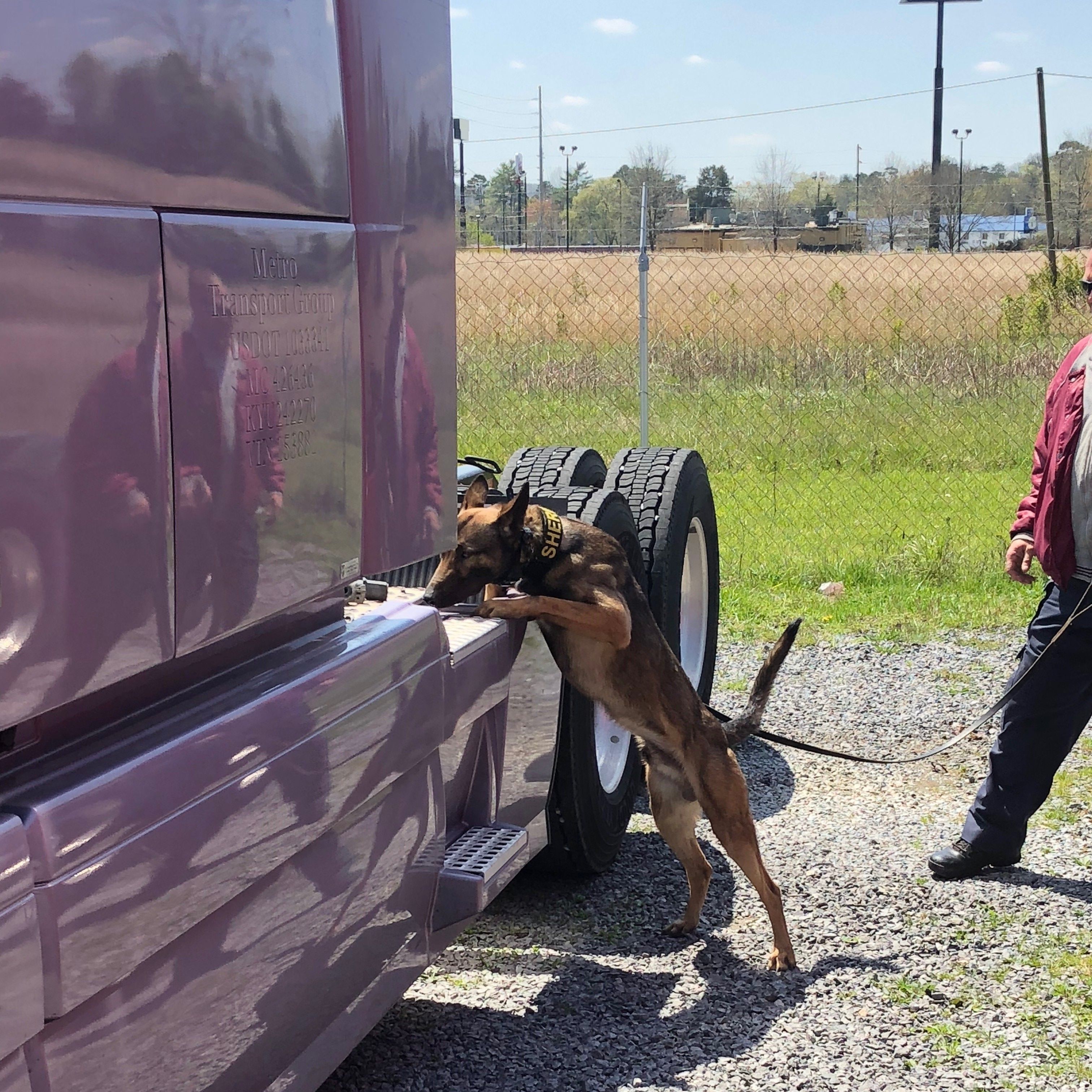 Police Dog Training in Tellico Plains, Tennessee