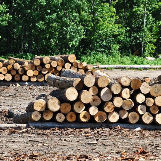 Pre-Cut Pallet Lumber in Holton, Michigan