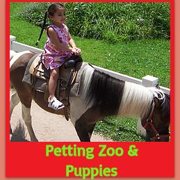 Pony Rides in Southold, New York