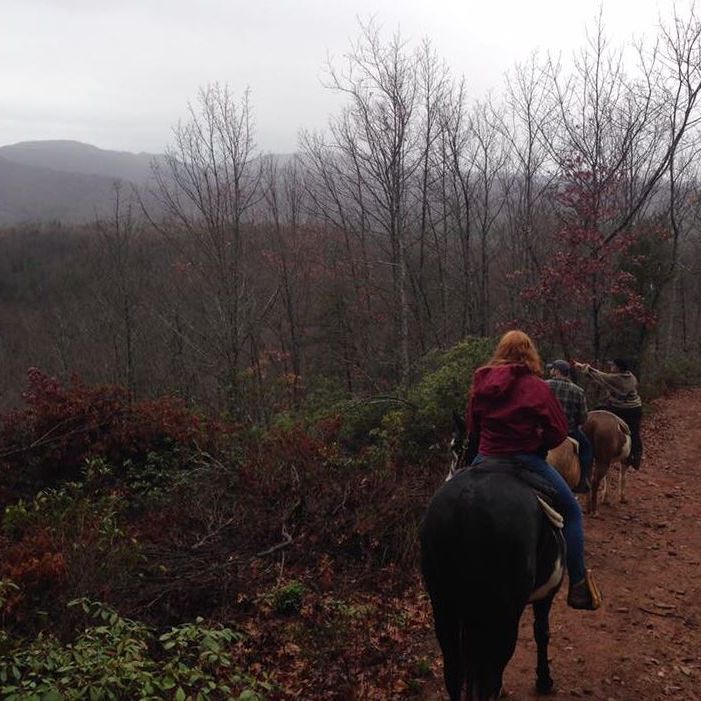 Horseback Riding in Lake Lure, North Carolina