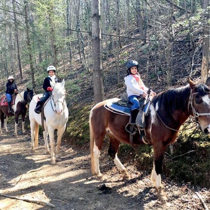 Horse Trails in Lake Lure, North Carolina