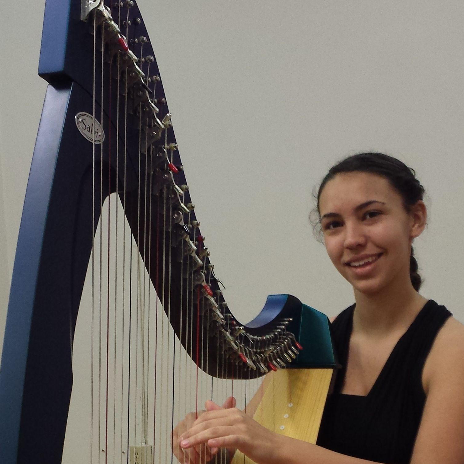 Harp Instructor in Kingsport, Tennessee