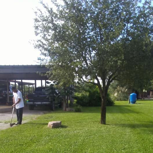 Lawn Service in Alice, Texas