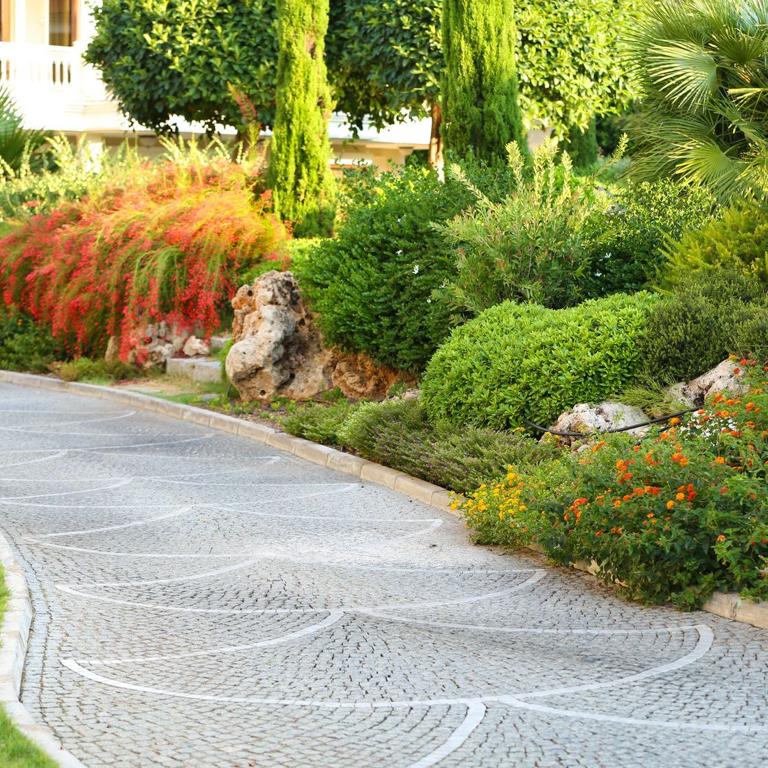 Landscape Design in Oviedo, Florida