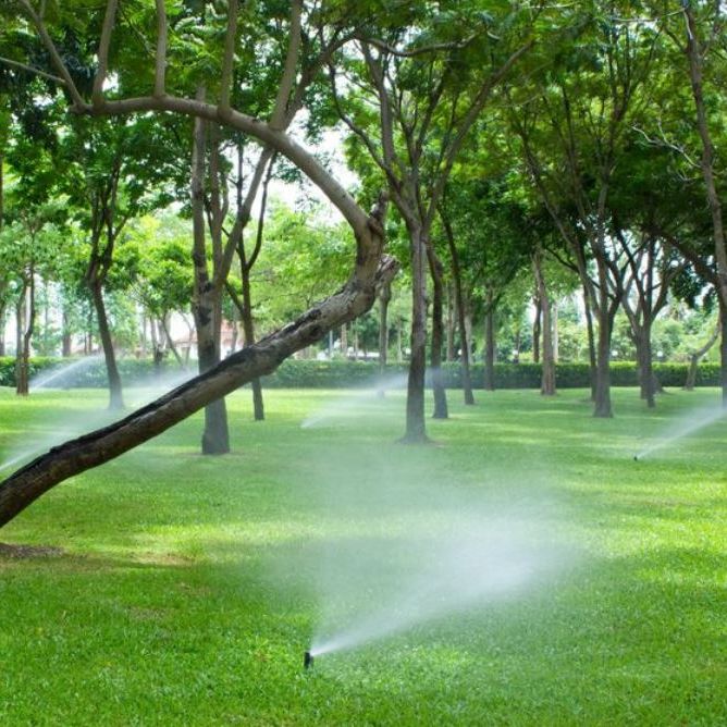 Sprinkler Systems in Oviedo, Florida