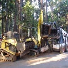 Tree Stump Removal in Magalia, California