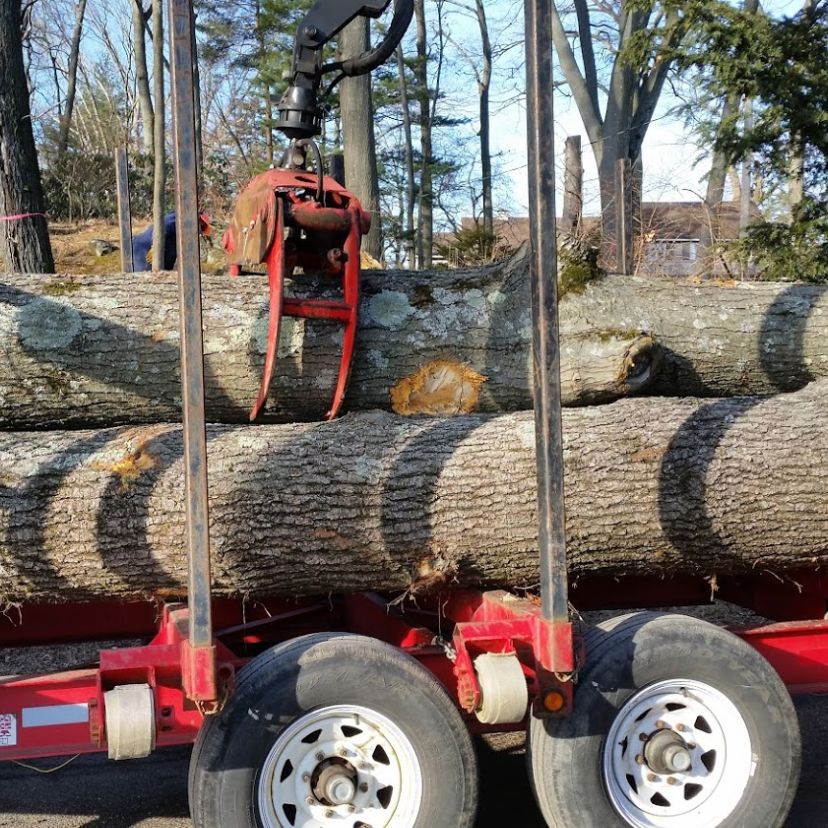 Tree Service in New Fairfield, Connecticut