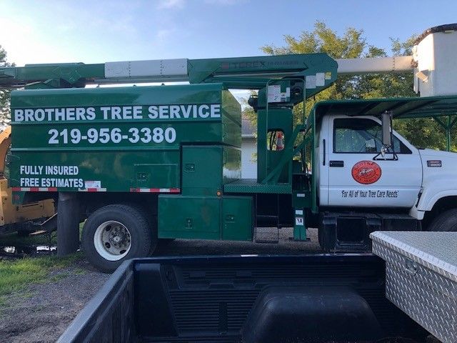 Tree Removal in Wheatfield, Indiana