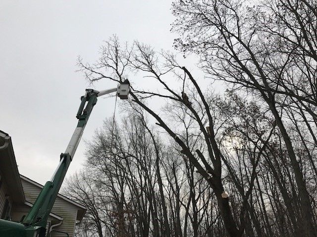 Tree Trimming in Wheatfield, Indiana