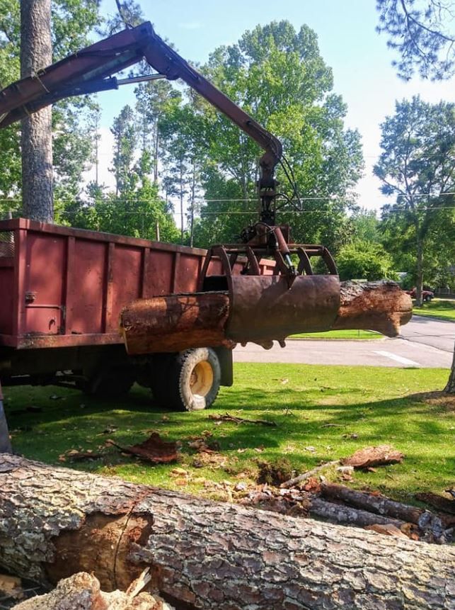 Stump Grinding in Gadsden, Alabama