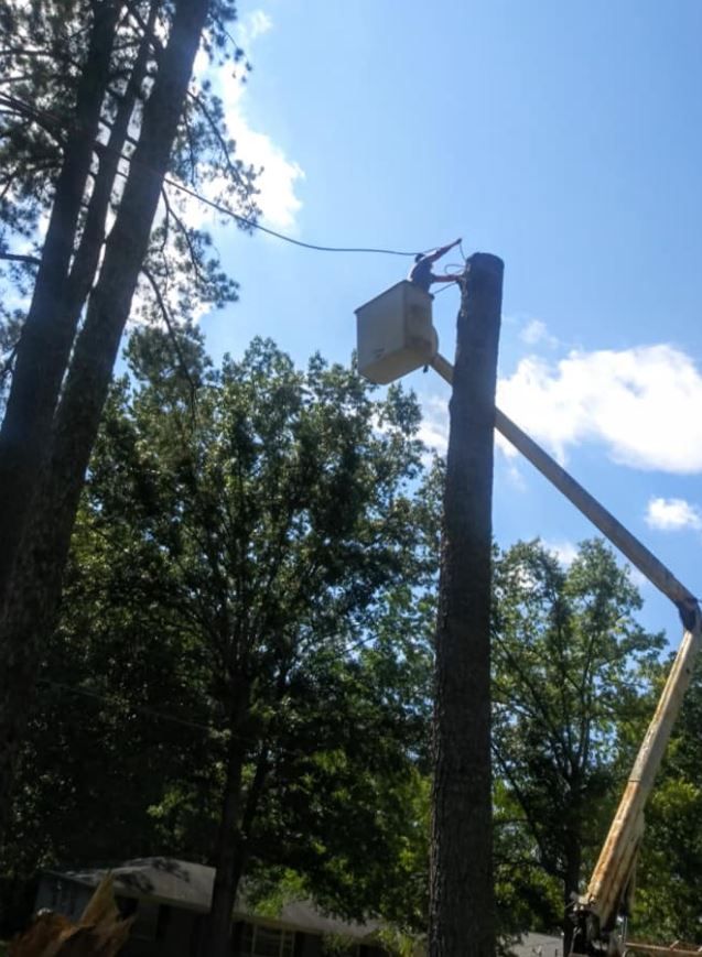 Emergency Tree Service in Gadsden, Alabama