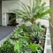 Interior Landscaping in Cathedral City, California