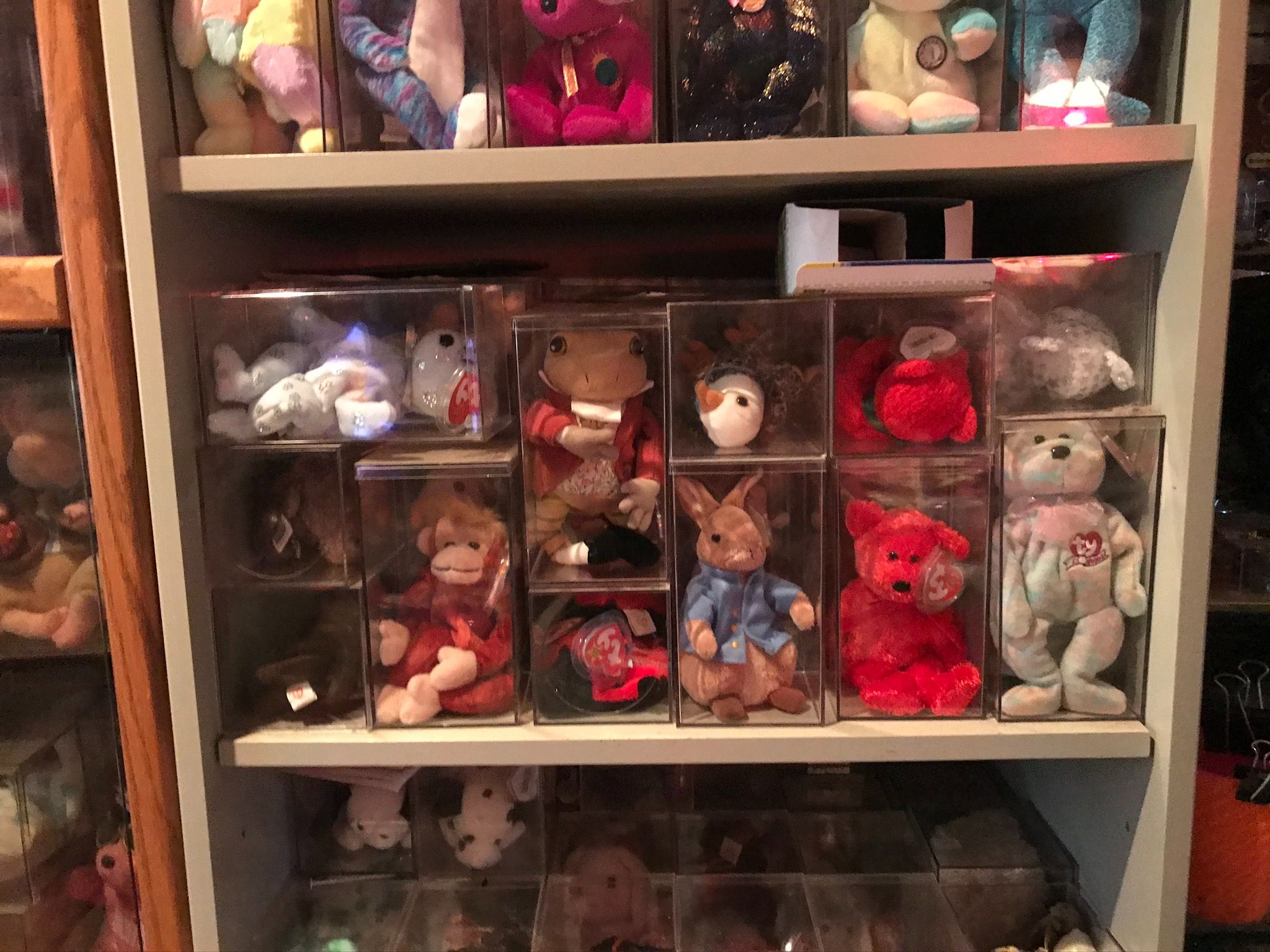 Beanie Babies Collection in Bradenton, Florida