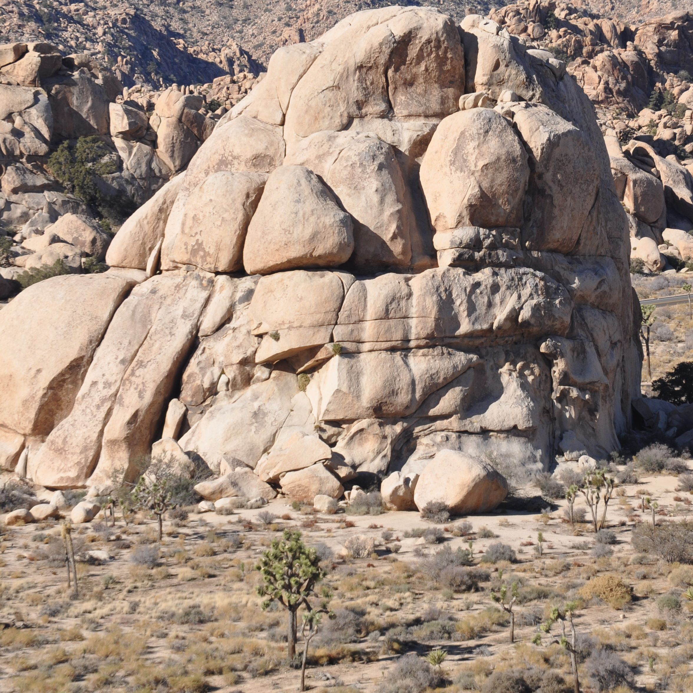 Rock Climbing Guide in Joshua Tree, California