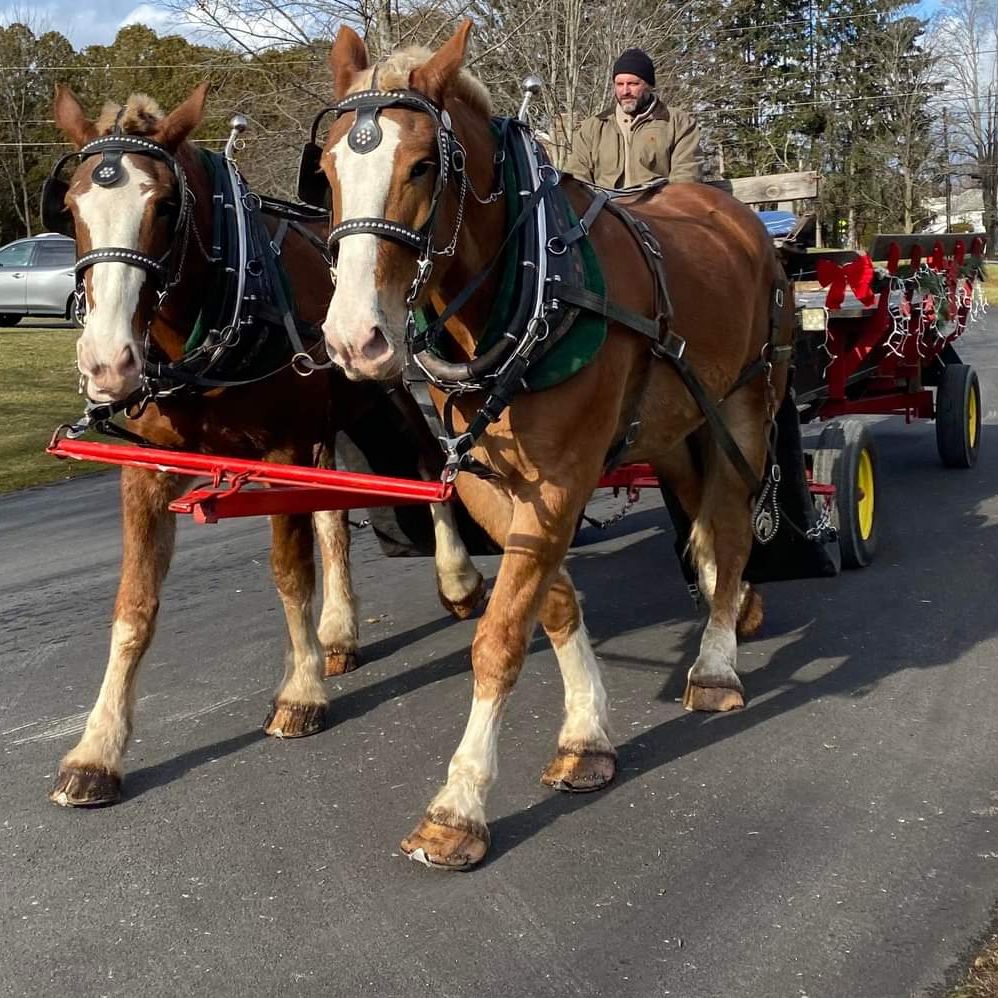 Parade Carriage Ride Services in Ludlow, Massachusetts
