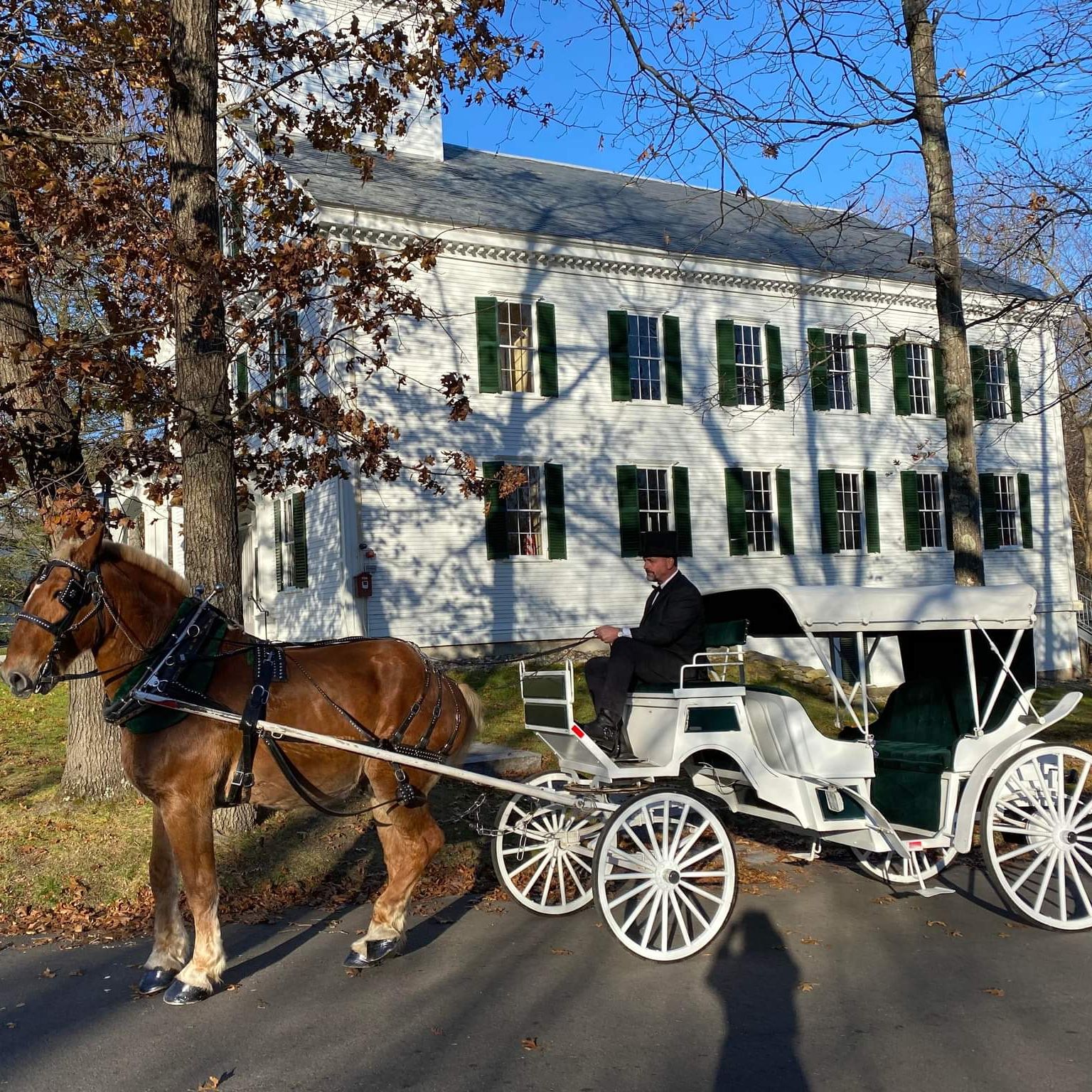 Carriage Ride Service in Ludlow, Massachusetts