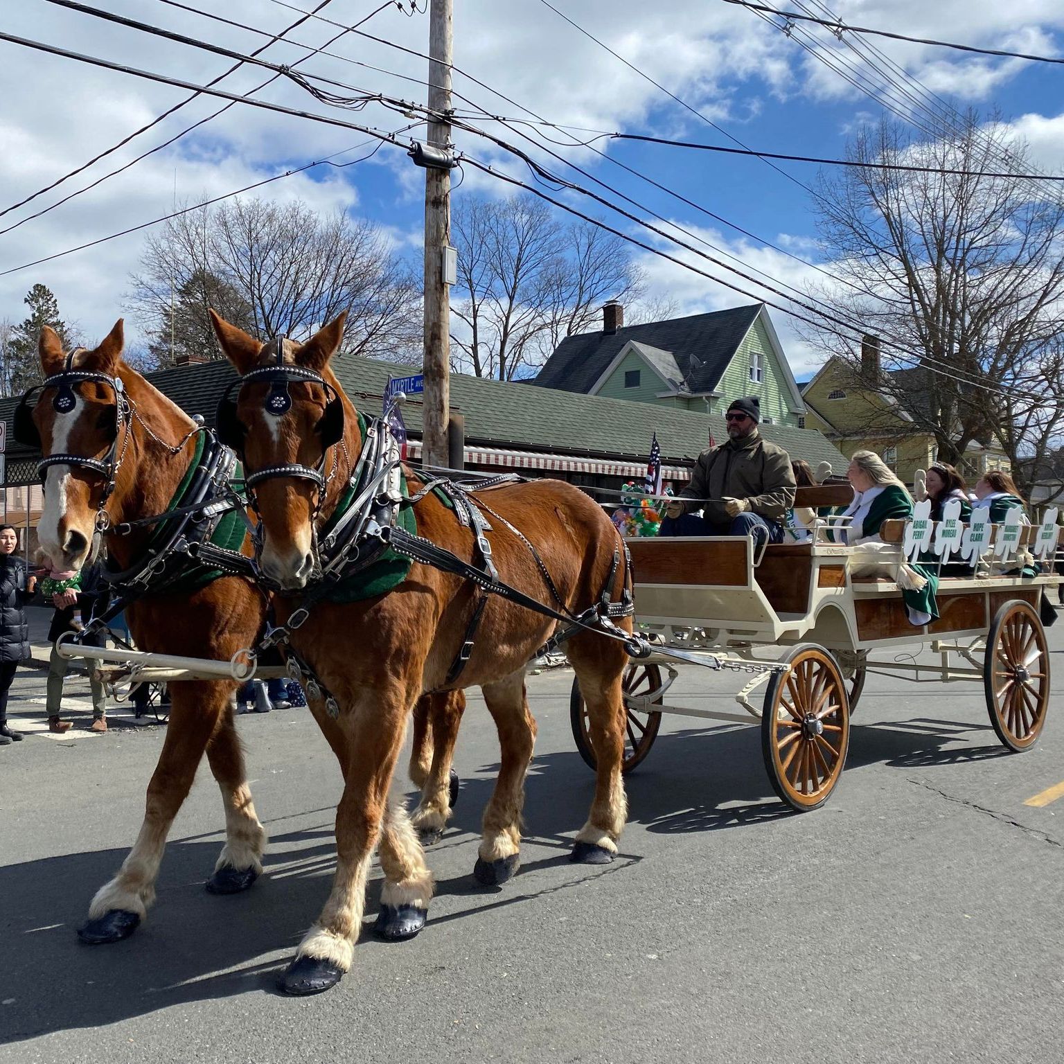 Wedding Carriage in Ludlow, Massachusetts