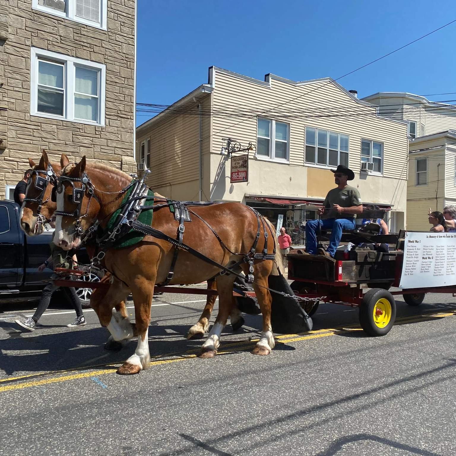 Community Event Carriage in Ludlow, Massachusetts
