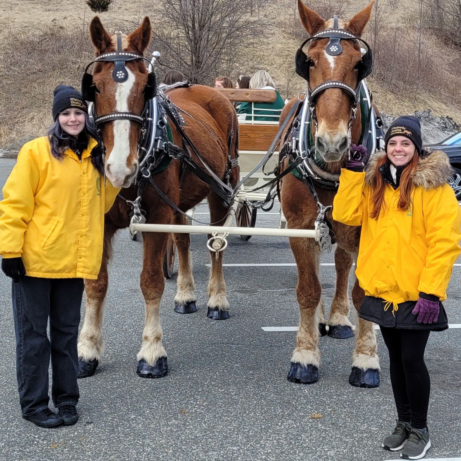 Birthday Carriage Rides in Ludlow, Massachusetts