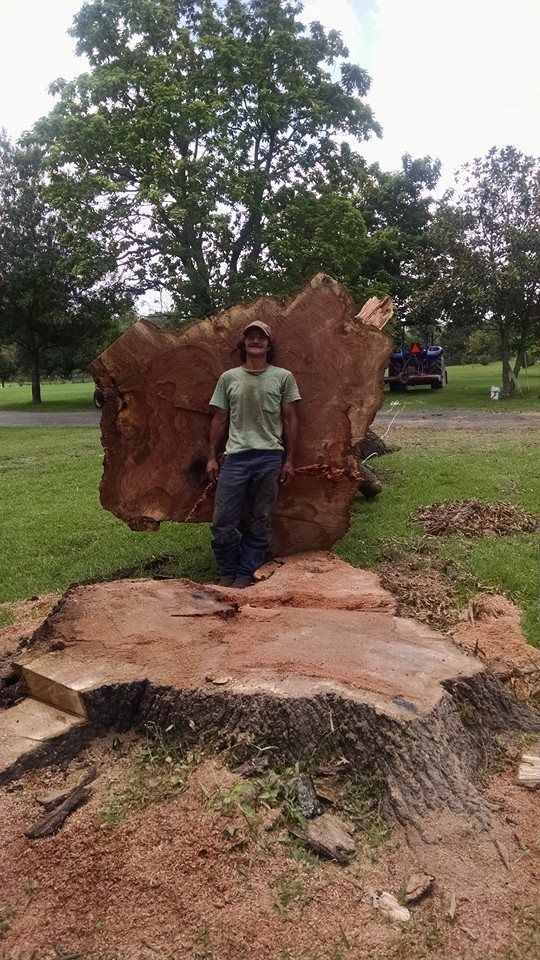 Tree Removal in Overton, Texas