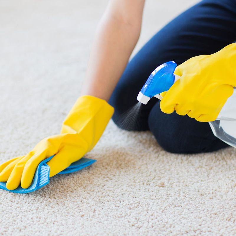 Carpet Cleaning Company in Monroeville, New Jersey