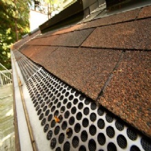 Gutter Cleaning Services in Chandler, Texas