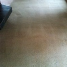 Upholstery Cleaning Service in Salinas, California