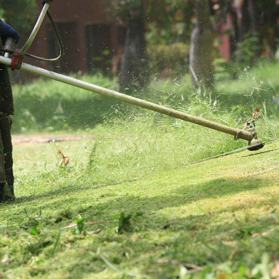 Lawn Maintenance Companies in Katy, TX